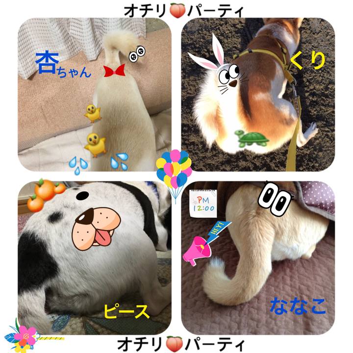 93c9c8ae 5eb4 4b74 972c 97225863f855