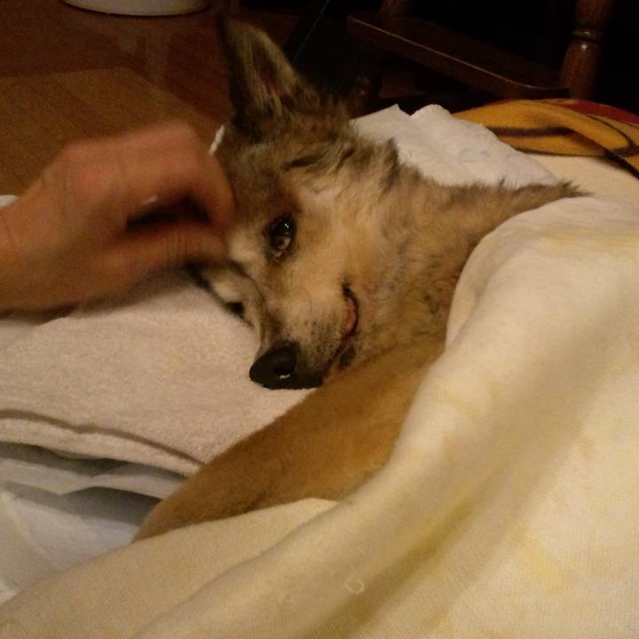 93c9f6f2 0e7b 4f18 9e11 faa96bd73171