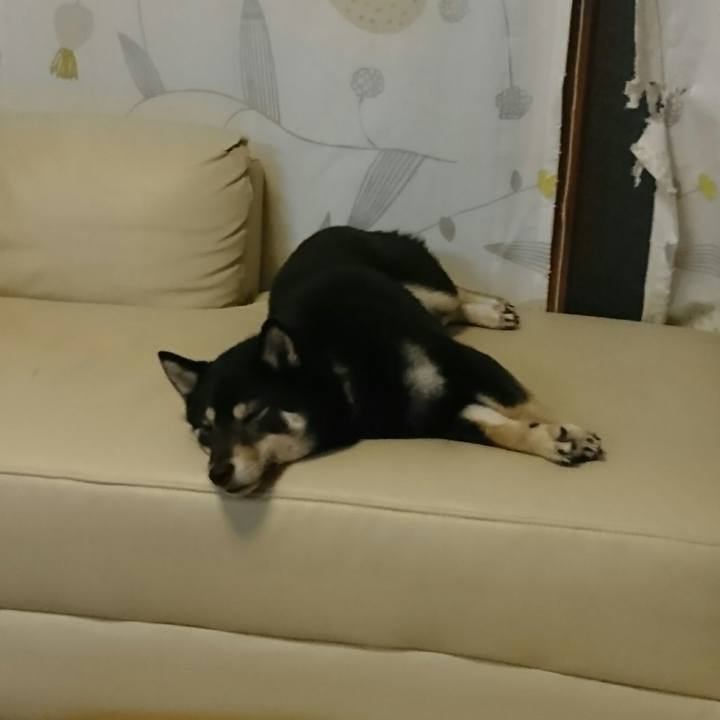 93ca1f3a c59c 40d6 81f5 4033b89ec105