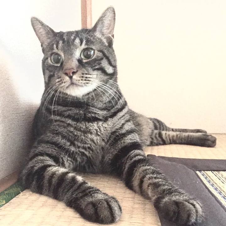 93ca2040 18af 43c4 b75c 1193184a1ffd