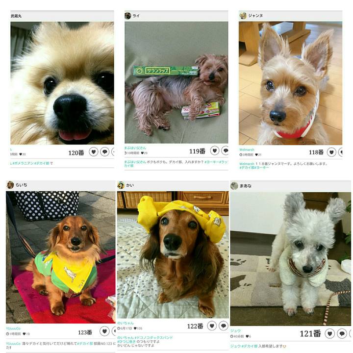 93ca3465 0d5b 43e4 a8e9 80d8a9979d23