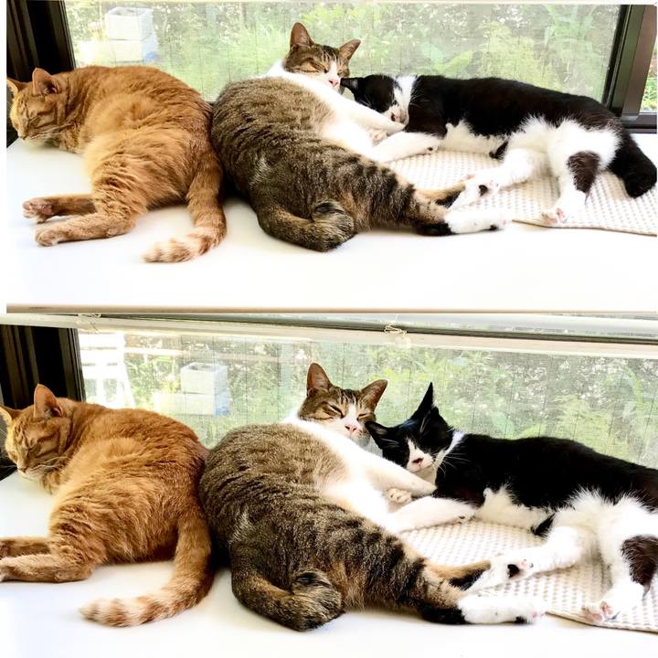 93ca57eb a395 478b 9225 9aa29c705ff7