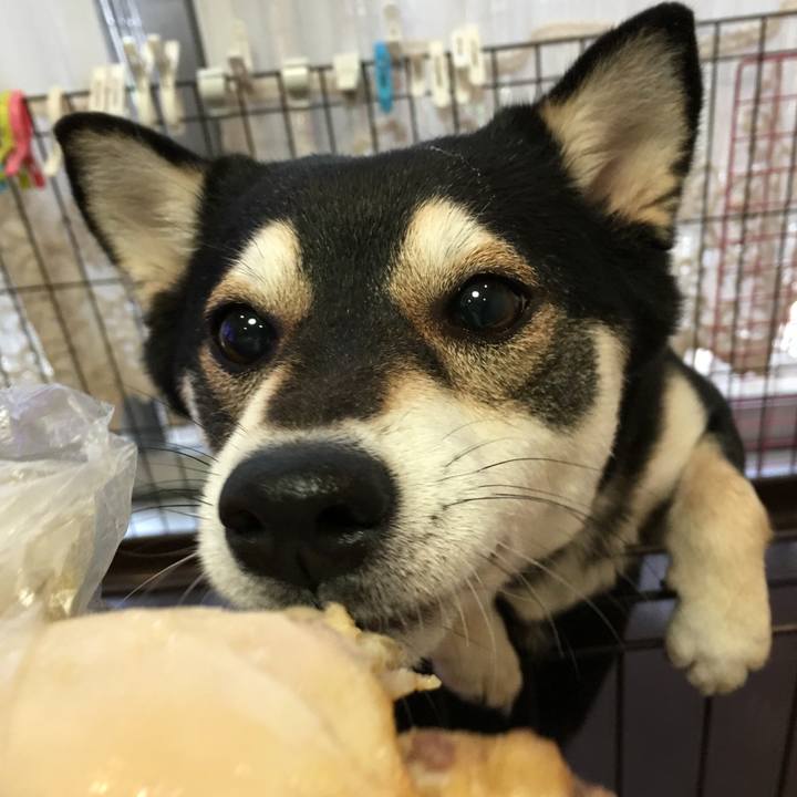 93caaf4e f08a 4e12 af5e 392de01a97cd