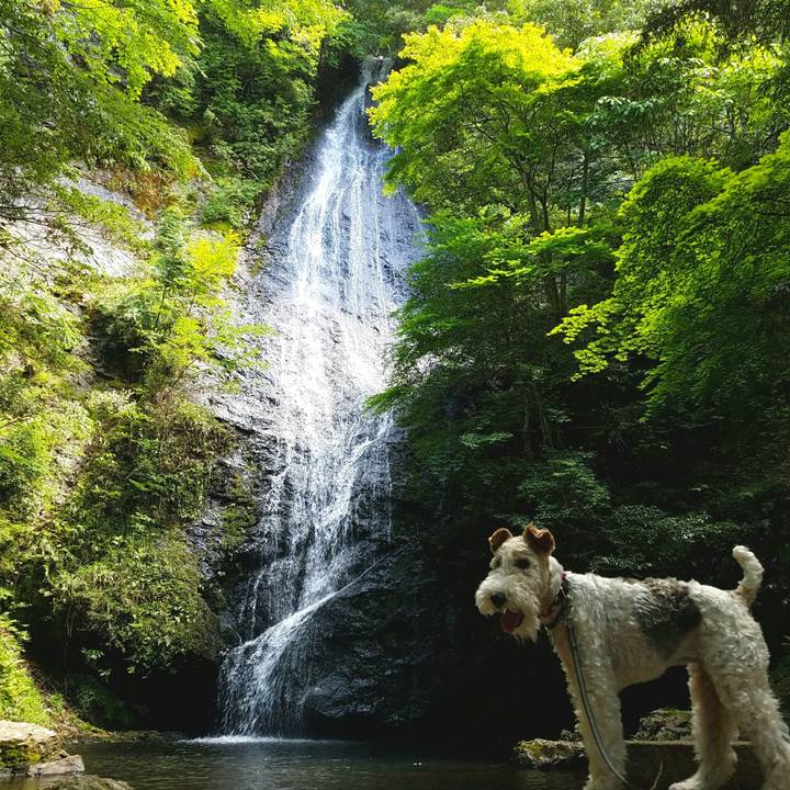 93caf2a1 2c05 4b20 bfd9 2d5003e7c834