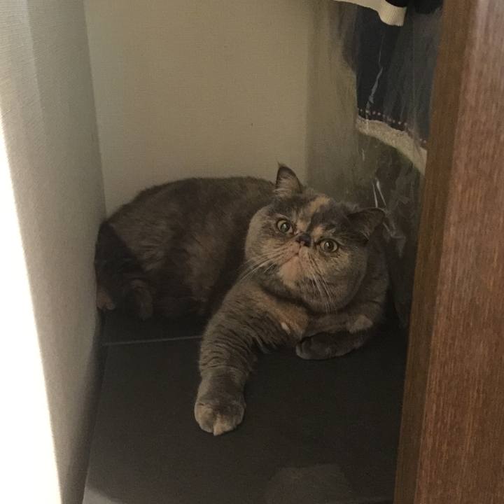 93cafc31 aaba 4004 b16e 8e531f05000a