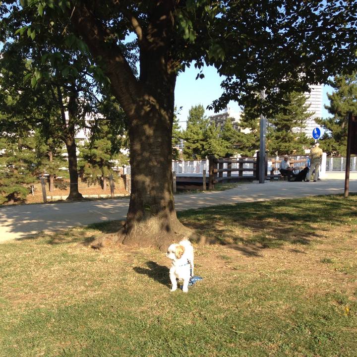 93cb124f 63f9 431d 98b8 cf13ad85a1b6