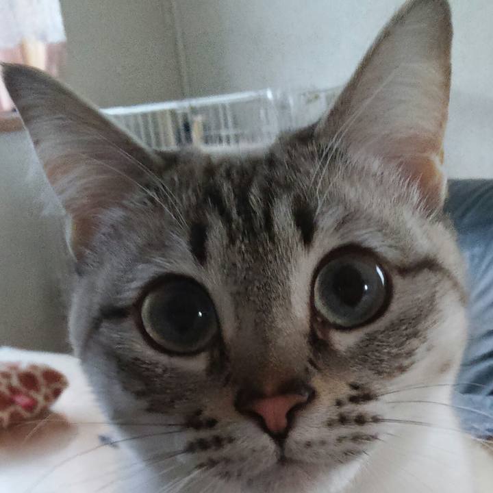 93cb79e2 8c32 4704 a81e f7c56cc3205e