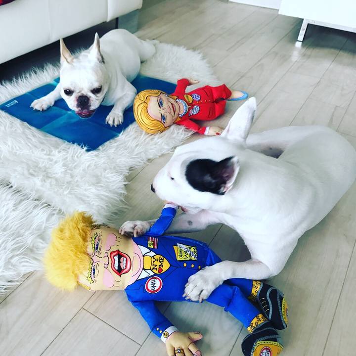 93cbc86c 0df5 4523 b75c 98305123a4d1