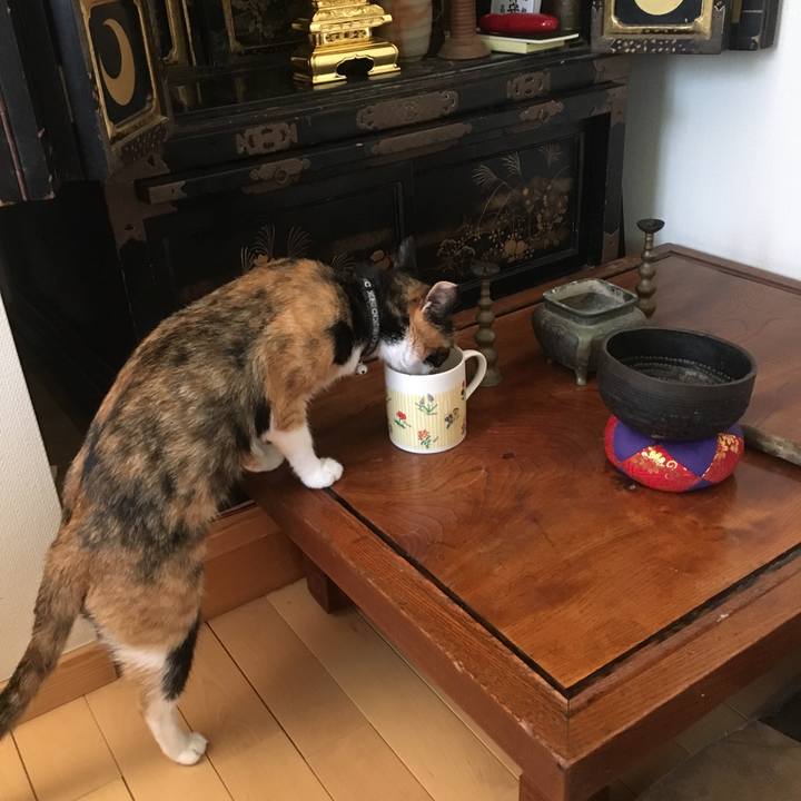 93cc94ac 391b 4da5 8f12 45d8eadaf1df