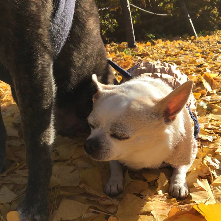 93ccc613 380b 4da2 8d69 f40abdbd0920