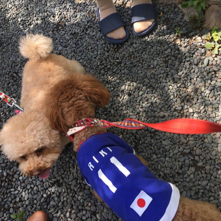 93cda593 4085 48c9 a75c 34d0b4af9a6f