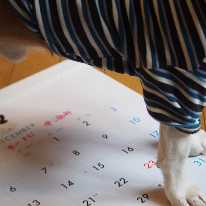 93cdb489 33a5 4bbe 8df4 c369d22de1c1