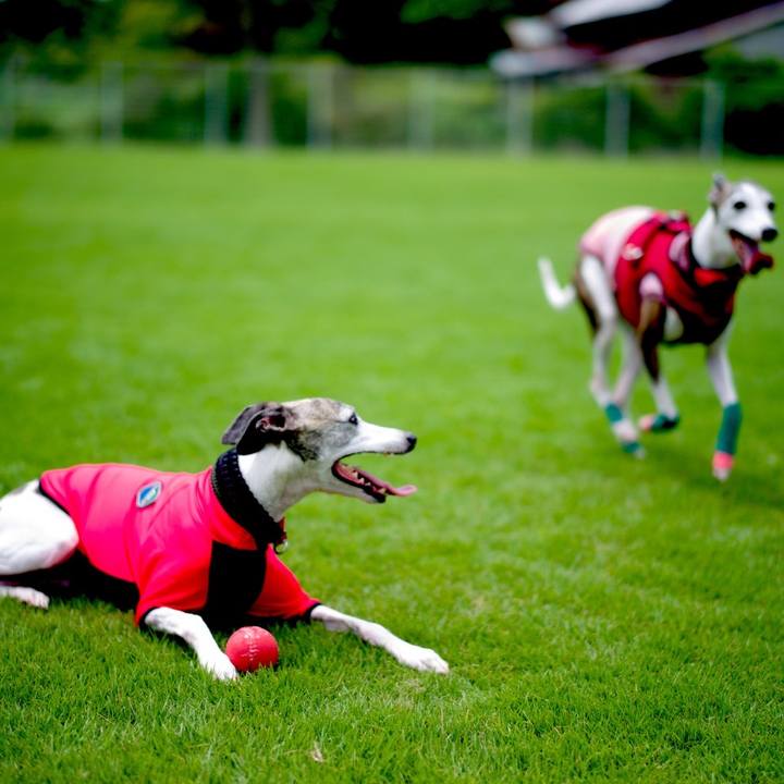 93ce690e 37e7 425f bccd bbd5ca37d88e