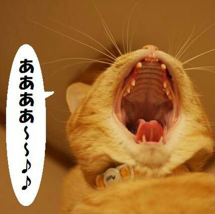 93ce9bd3 5ab6 41b7 b407 4850a884cca6