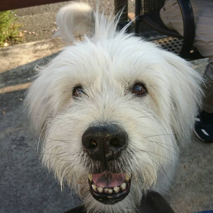 93cebcfb fb1e 45c8 acea 7d16cb45ab6e