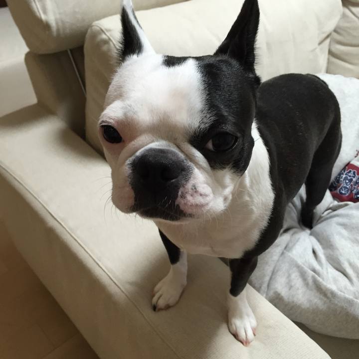 93ced641 da76 49ad 8ab6 c45c8af97804