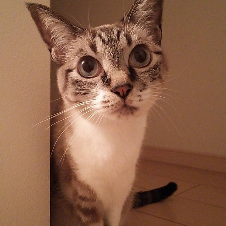 93cf2af1 f820 4cfb 89a6 b60107ebdda0