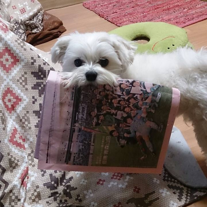 93cf3294 c8d5 412d af80 9e477c40138e