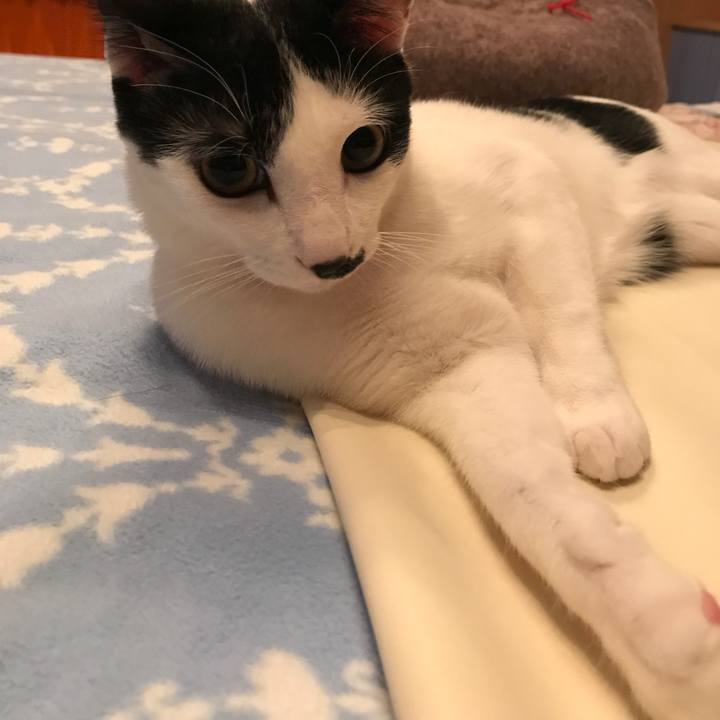 93cfc638 534a 4346 a550 18c63c0f6e87