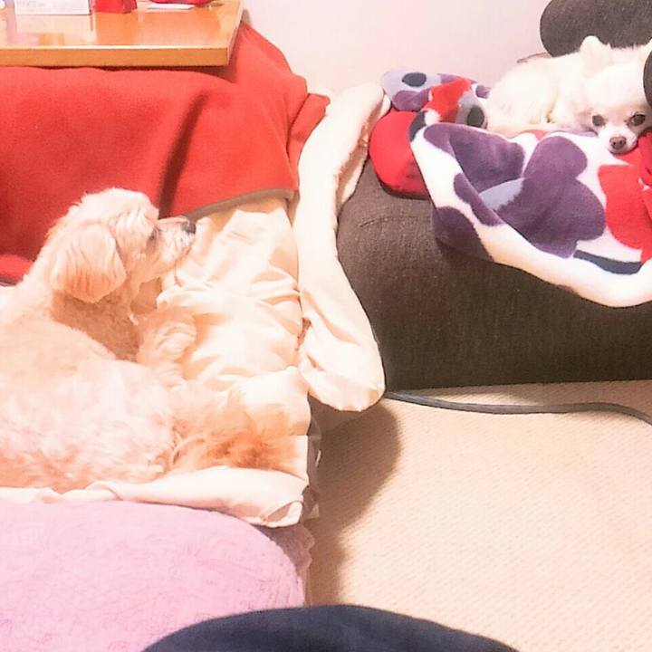 93d00271 8d04 4d53 ba74 eb4bd6693f1b