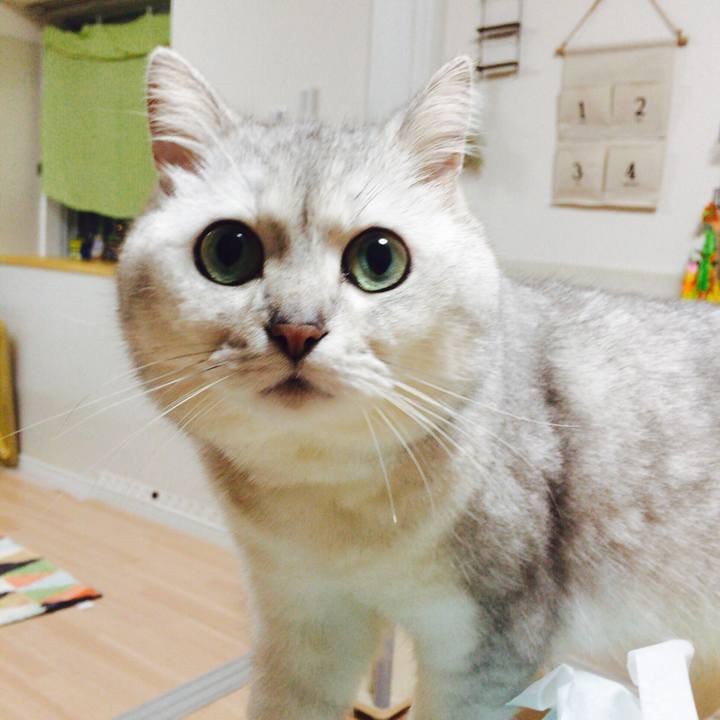 93d0456e 5d1a 43e7 9d24 895a5ddd1f56