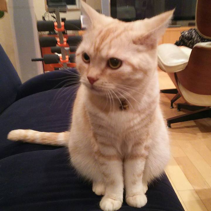 93d0e826 d470 4478 9e4c 1471af9154c5