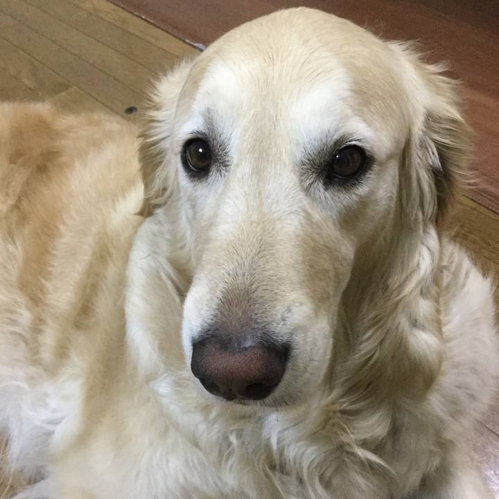 93d1c9b0 bf43 4760 8194 a6f7d4095519