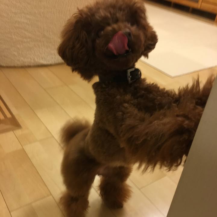 93d283a1 8029 4118 a18d 098080d662c3