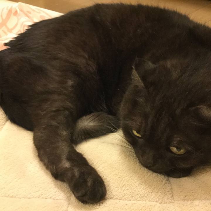 93d311ec 06f9 433e b1ad f765b39ab691