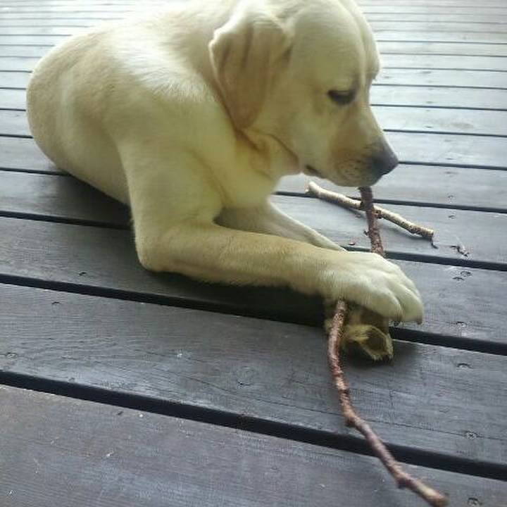 93d37e3d b705 4ef1 b929 21faec3eb786