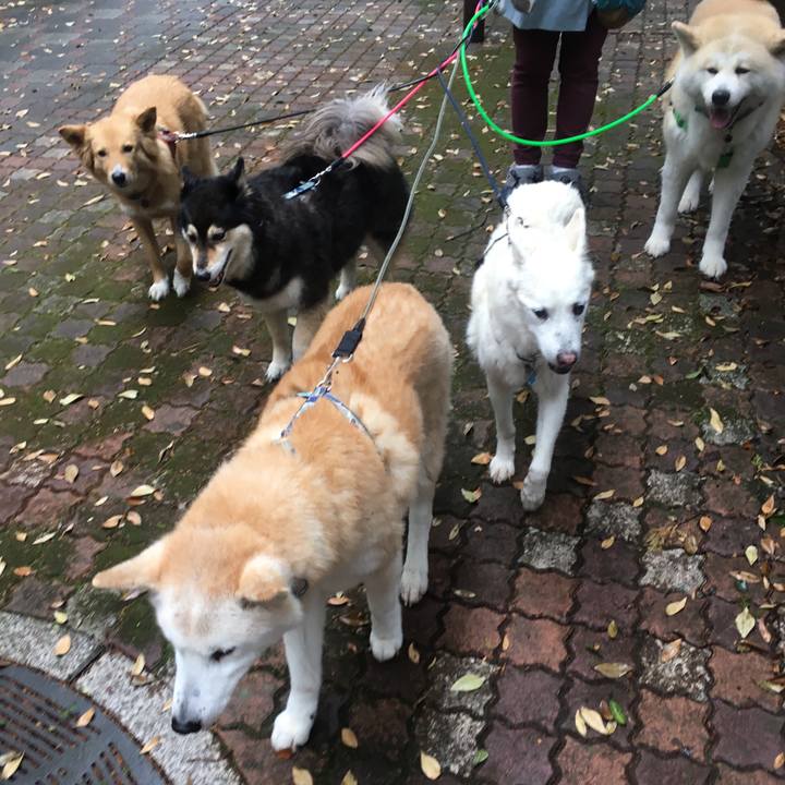 93d39aa3 1c29 4868 b0ce e29c6e648707