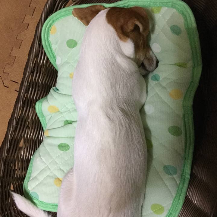 93d3c972 fb2b 4eae a5a7 1607af88b67a