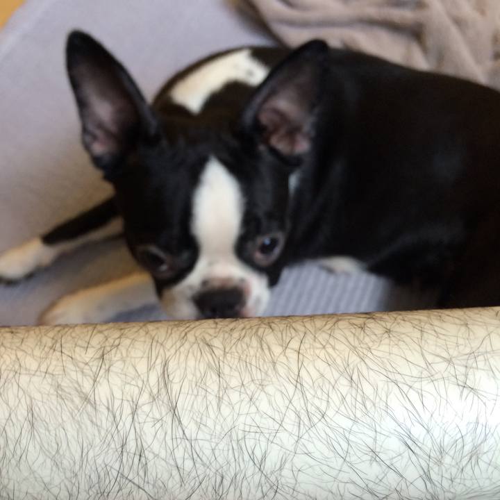 93d3e674 b57e 43d4 b32d 14f0b244ba79