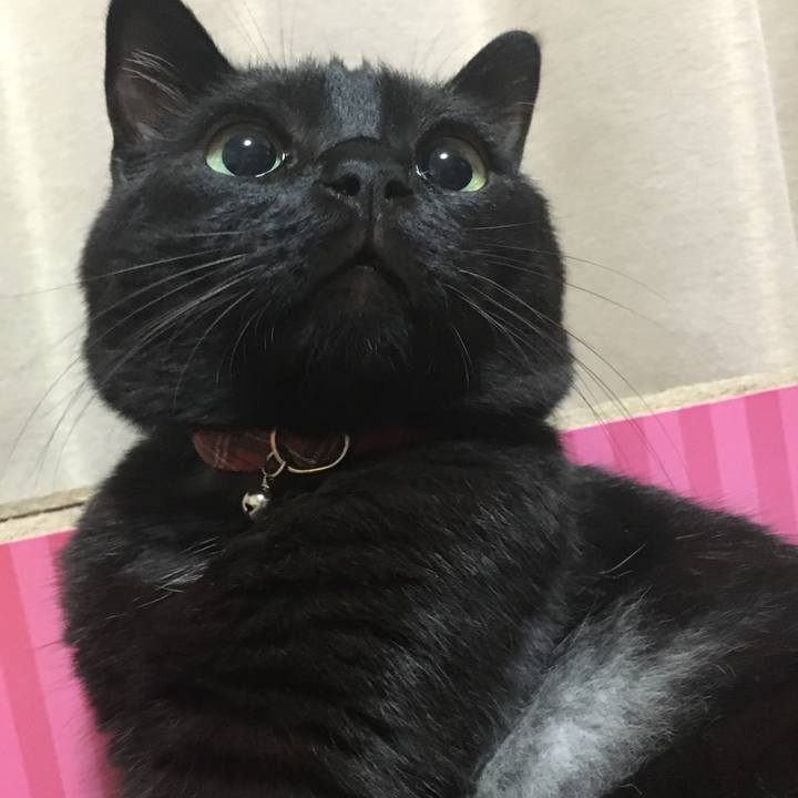 93d3eb5b 3f6a 4ce9 bde9 cfa7862c77bd