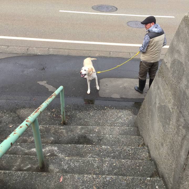 93d3f56e 16eb 40d1 b8e3 562f480d4ba7