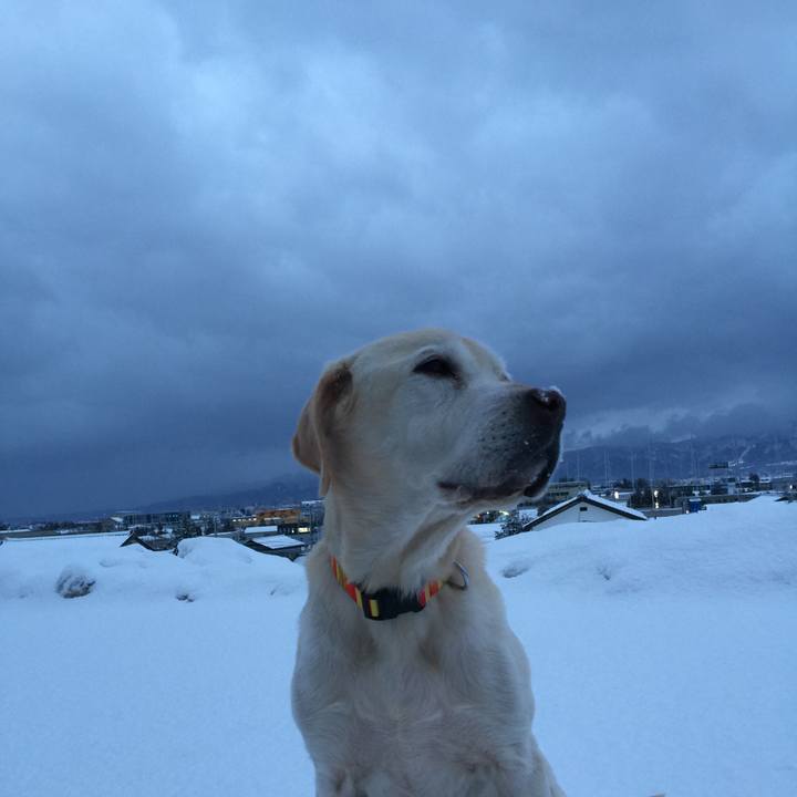 93d43f7a a53b 4ed5 8c36 78ec95db1882