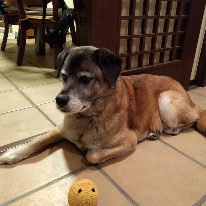 93d664e0 e2c6 494c 9d3c 6fef798c1e57