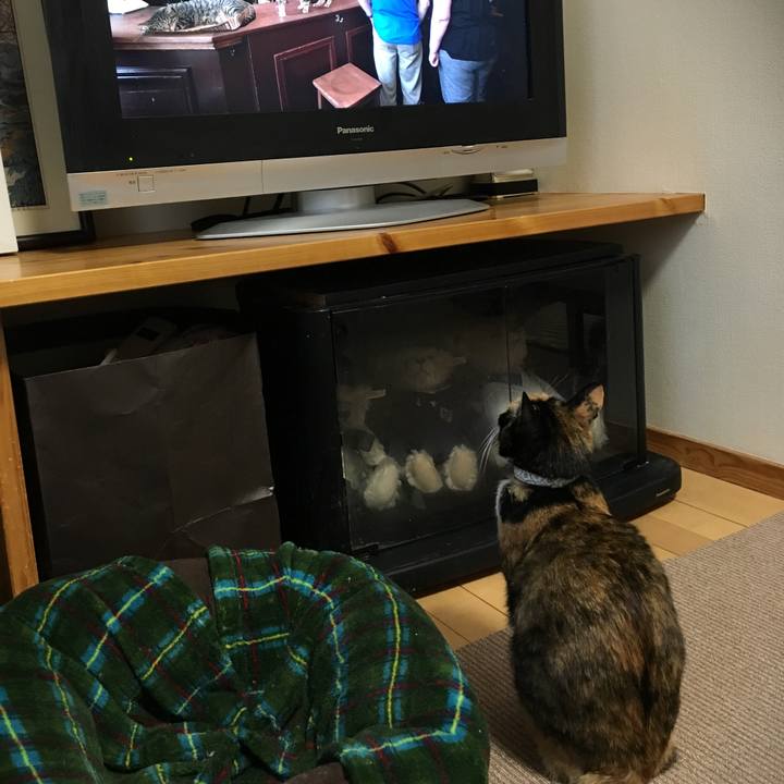 93d6aae1 fb81 4105 b769 181d856b3a31