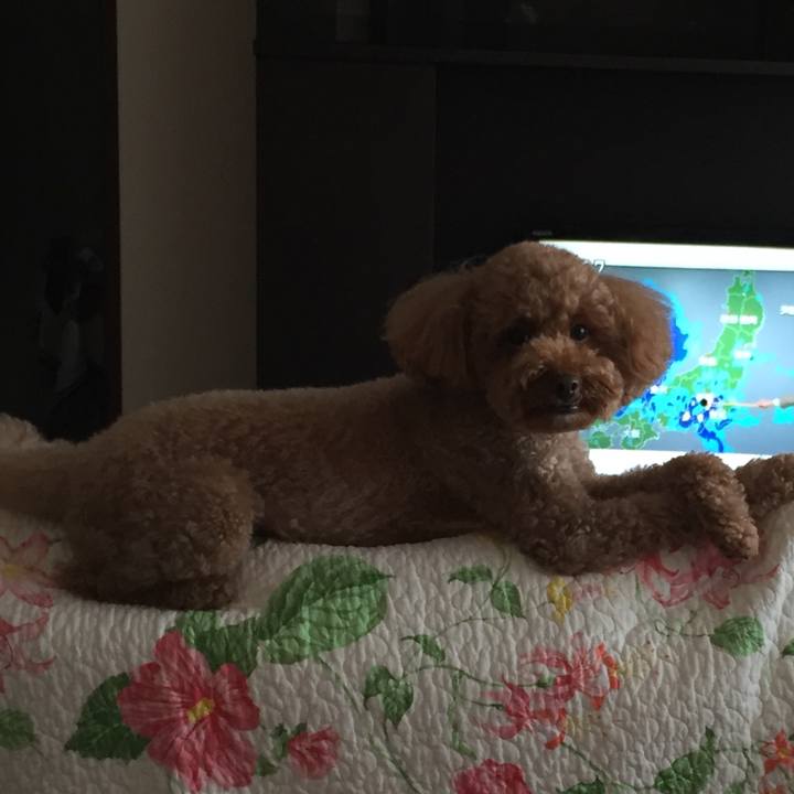 93d7102b a952 4d43 a15b 7d1de870dc02