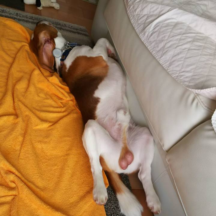 93d72094 e321 4dff 8350 fbe6a1301aef