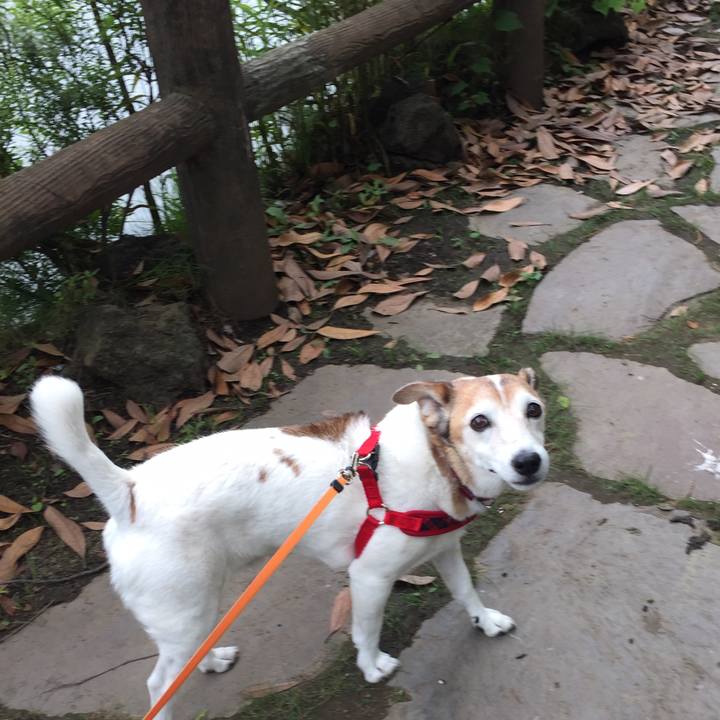 93d74663 18fa 4560 a227 e4d6e5b9d491