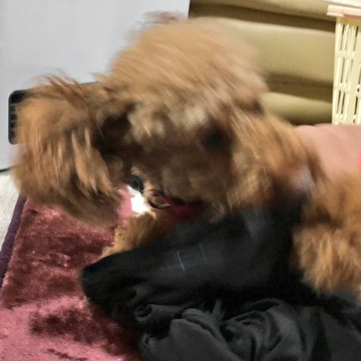 93d74ade 23e9 4e83 b999 3a614c6c4e11