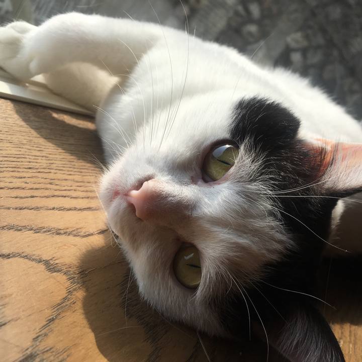 93d75b83 453d 4cc1 a7aa 16c694058976