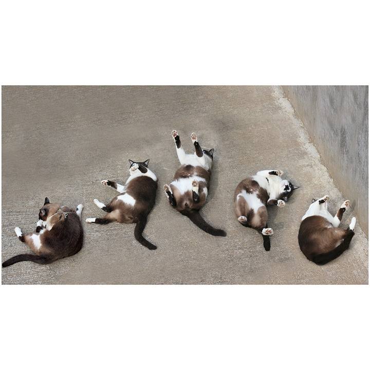 93d7aa5a 6c63 4190 bec4 cba3c8d1f44f