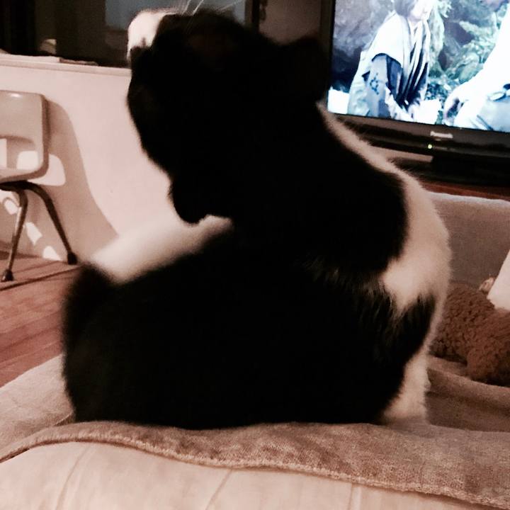 93d948aa 425e 4069 a4f0 bcd8104aef50