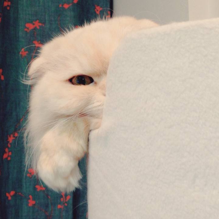 93d9e79e 1ba1 4ef9 a83e 51a9559c0ade