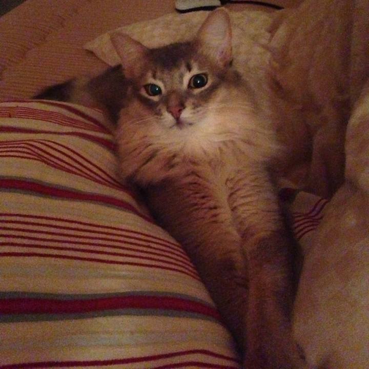 93da45e3 56e2 41f3 89fa 1457d38364bb