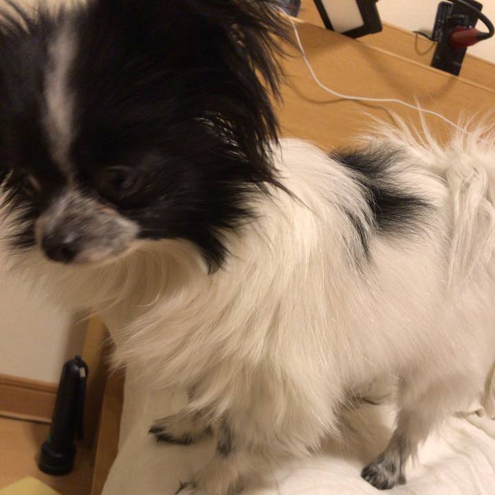 93da5d51 4053 4027 bcdb 073f9d872039