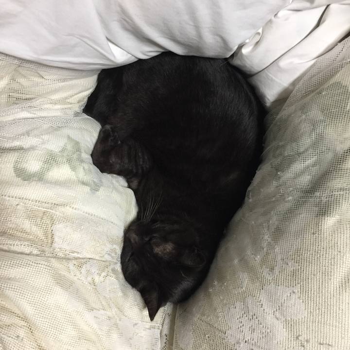 93db3c78 ef36 4f9e ac3d 06d91c4ad842