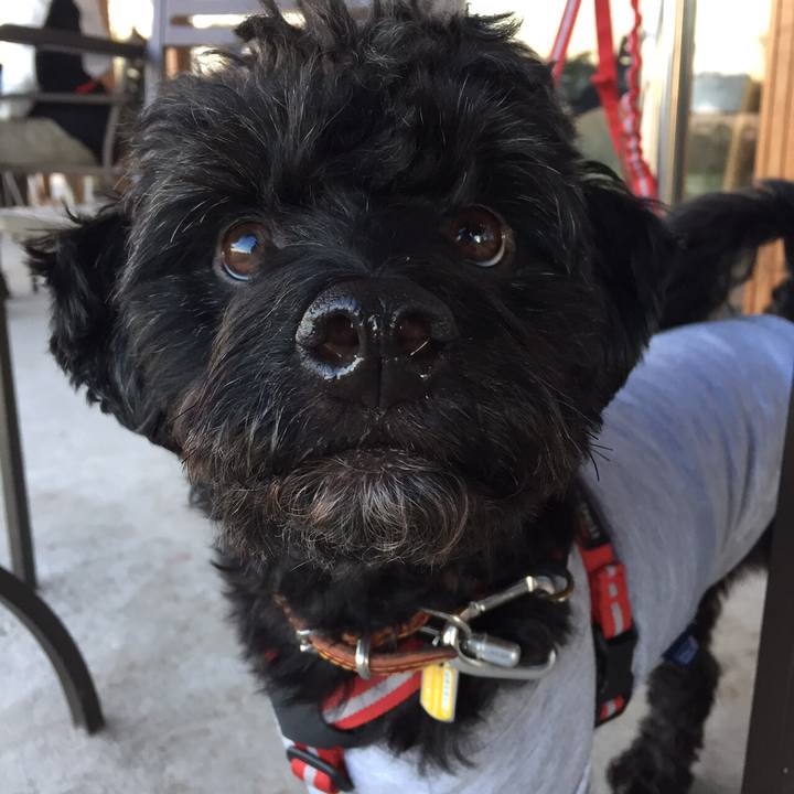 93db486b e113 436f ab75 9bb968c4301b